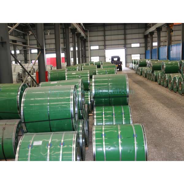 Stainless Steel Coil